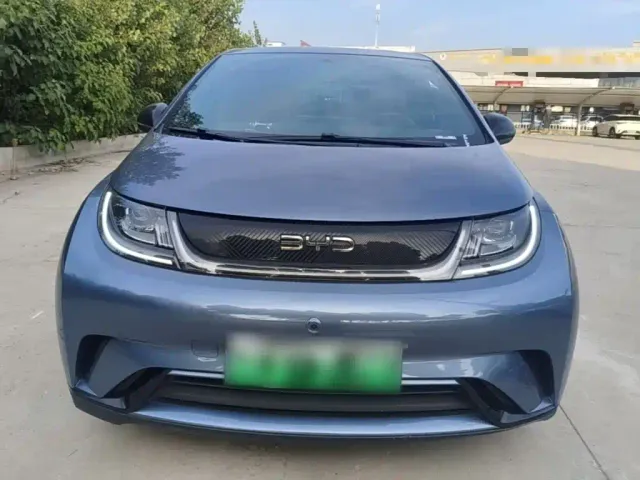 BYD Dolphin 2021 405km Freedom Edition — Фото автомобиля 2