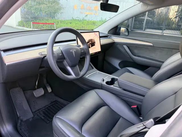 Tesla Model Y — Фото автомобиля 10