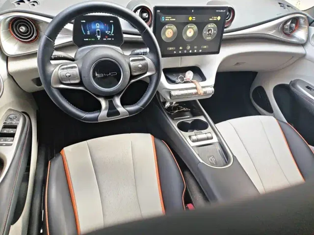 BYD Dolphin — Фото автомобиля 10