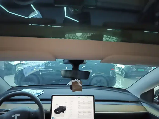 Tesla Model Y — Фото автомобиля 17
