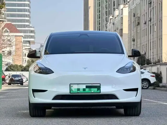 Tesla Model Y — Фото автомобиля 2