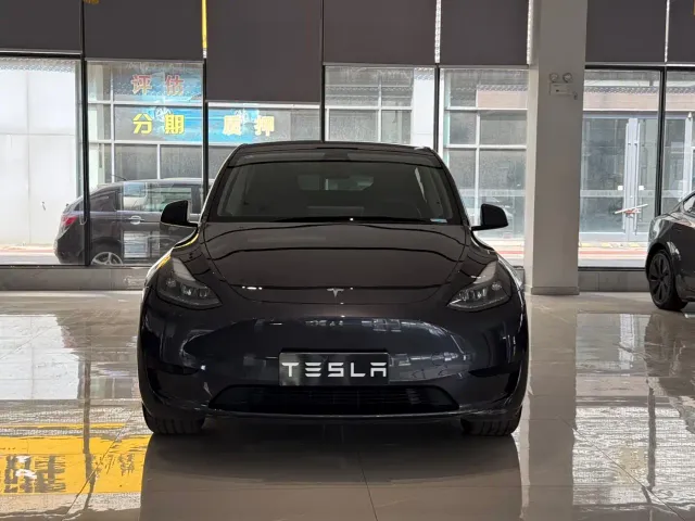 Tesla Model Y — Фото автомобиля 2