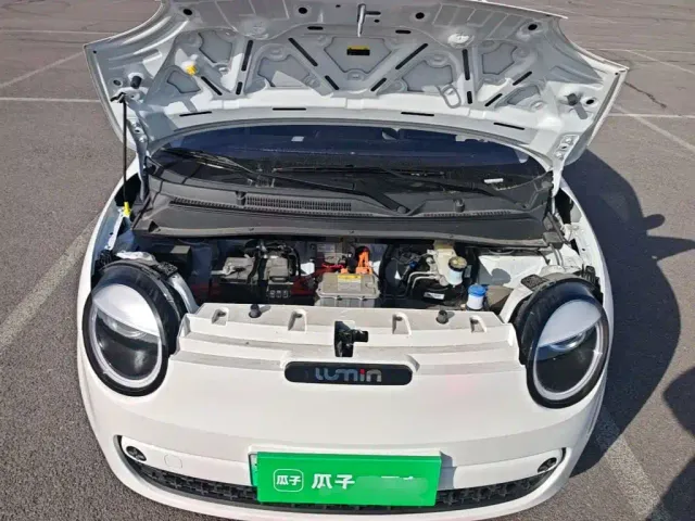 Changan Lumin — Фото автомобиля 19