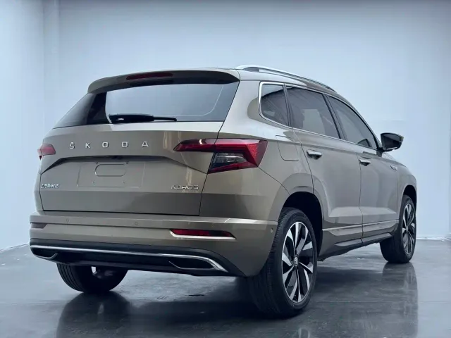 Skoda Karoq — Фото автомобиля 15