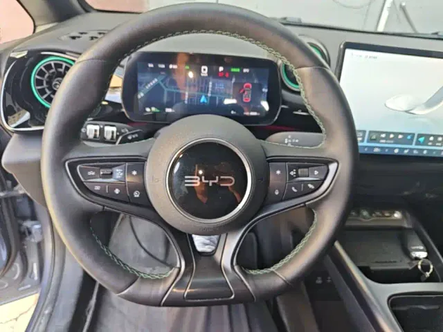 BYD Dolphin — Фото автомобиля 10