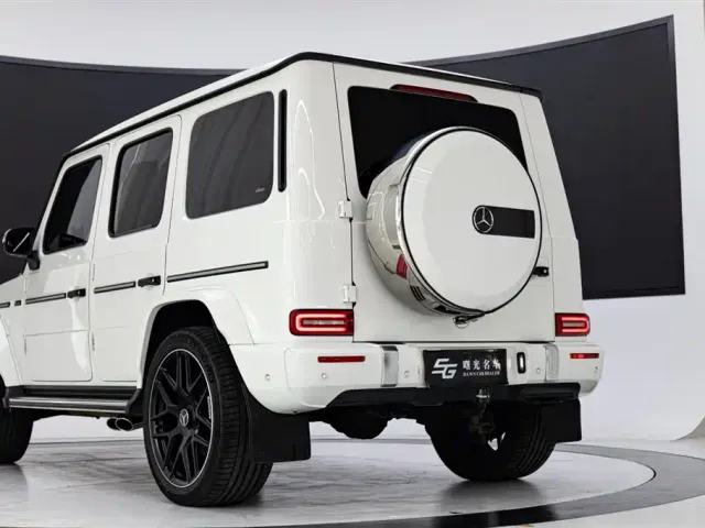 Mercedes-Benz G-Class — Фото автомобиля 18