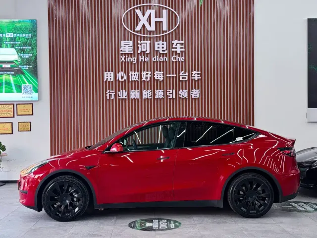 Tesla Model Y — Фото автомобиля 4