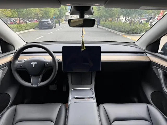 Tesla Model Y — Фото автомобиля 17