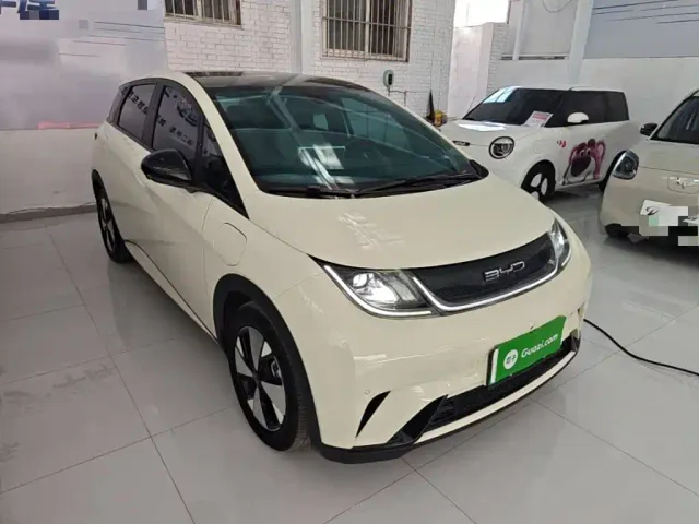 BYD Dolphin — Фото автомобиля 3