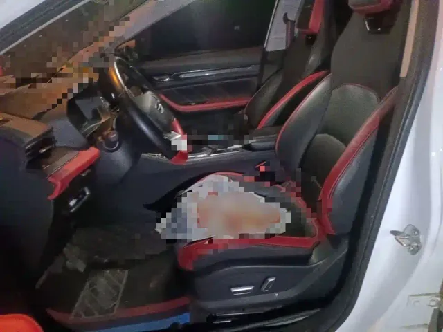 Geely Emgrand S — Фото автомобиля 18