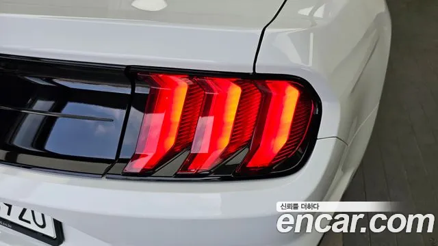 Ford Mustang Mustang Кабриолет — Фото автомобиля 20