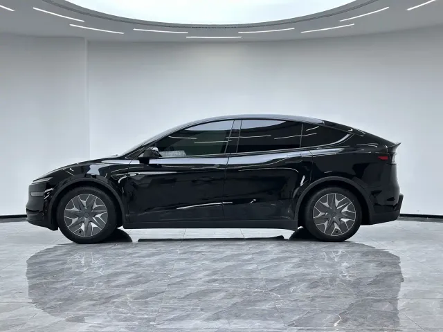 Tesla Model Y L — Фото автомобиля 10