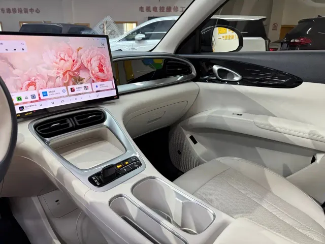 Geely Starry Wish — Фото автомобиля 13