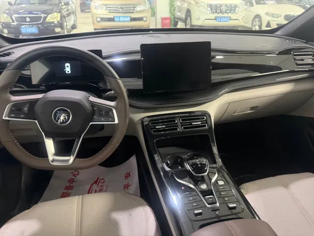 BYD Qin PLUS — Фото автомобиля 9