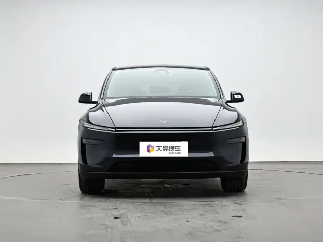 Tesla Model Y — Фото автомобиля 2