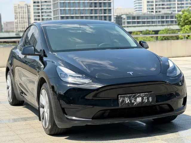 Tesla Model Y — Фото автомобиля 3