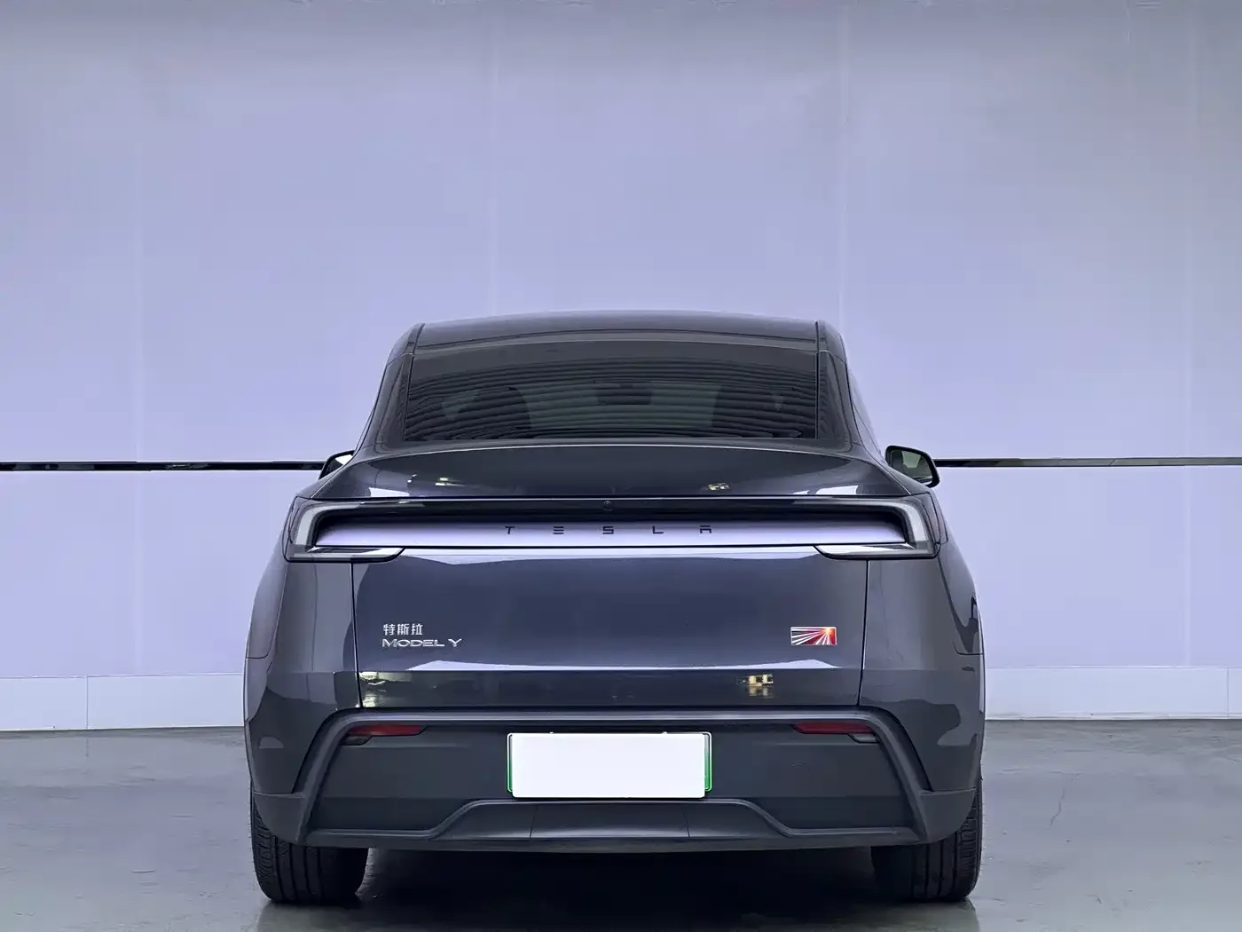 Tesla Model Y 2025 Model Rear-Wheel Drive Launch Edition — Фото автомобиля 5