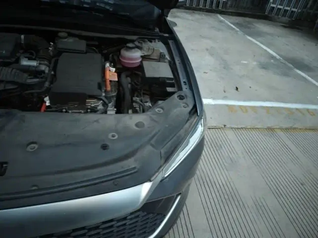 BYD Qin PLUS — Фото автомобиля 20