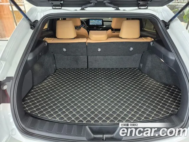 Lexus UX UX300h — Фото автомобиля 20