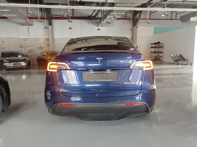 Tesla Model Y 2021 Performance High-Performance AWD — Фото автомобиля 5