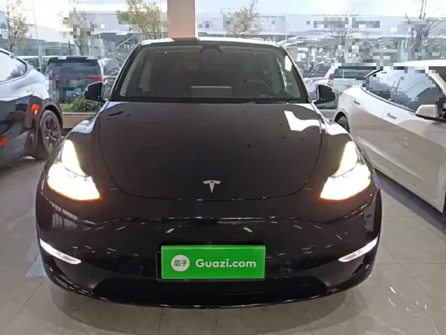 Tesla Model Y — Фото автомобиля 2
