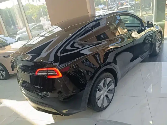 Tesla Model Y — Фото автомобиля 6