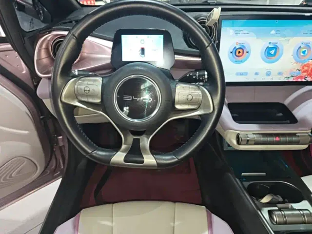 BYD Dolphin — Фото автомобиля 10