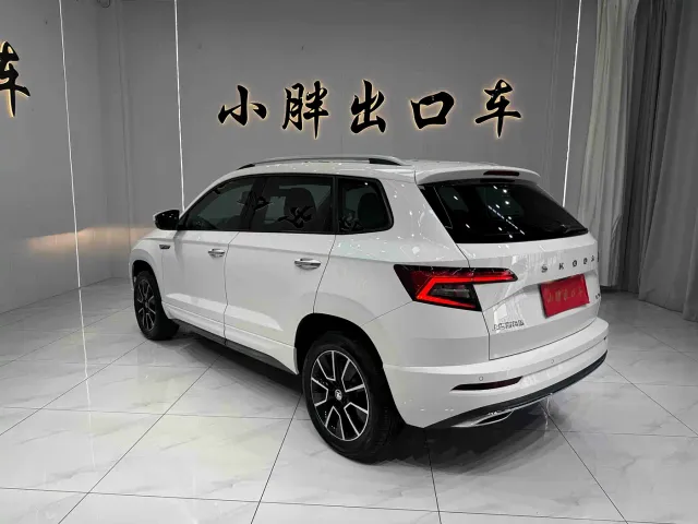 Skoda Karoq — Фото автомобиля 6