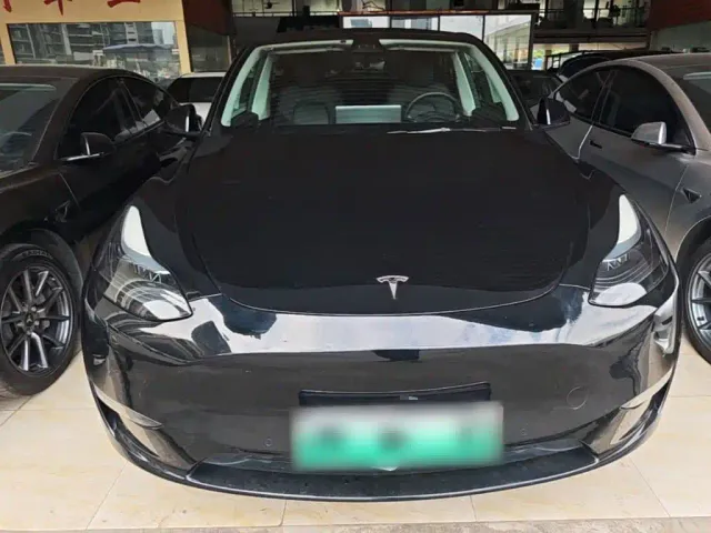 Tesla Model Y — Фото автомобиля 2