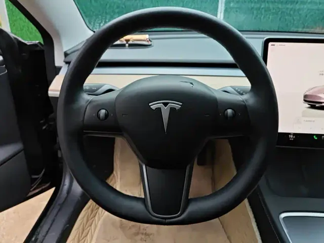 Tesla Model 3 — Фото автомобиля 15
