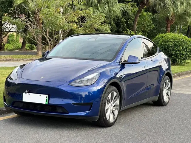 Tesla Model Y — Фото автомобиля 2