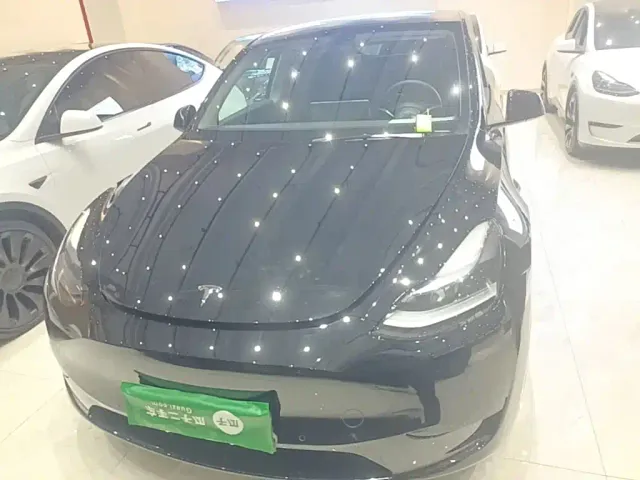 Tesla Model Y — Фото автомобиля 2