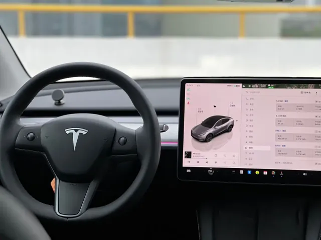 Tesla Model Y — Фото автомобиля 10