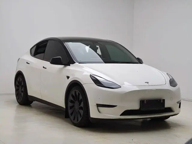 Tesla Model Y — Фото автомобиля 3