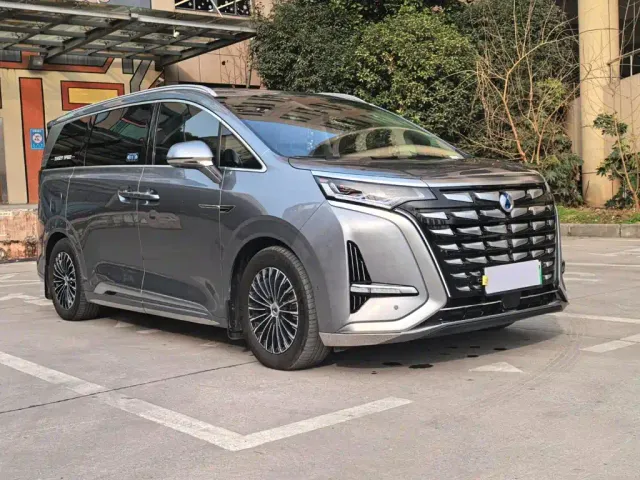 Denza D9 — Фото автомобиля 3