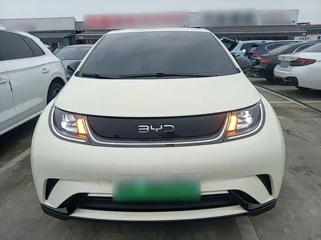 BYD Dolphin — Фото автомобиля 2