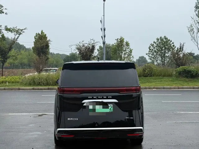 Denza Denza D9 2024 DM-i 980 AWD Flagship — Фото автомобиля 8