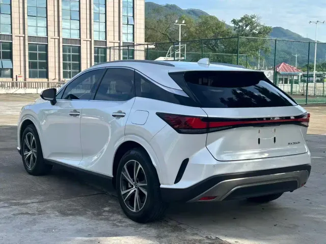 Lexus RX — Фото автомобиля 9