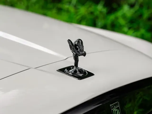 Rolls-Royce Cullinan — Фото автомобиля 16