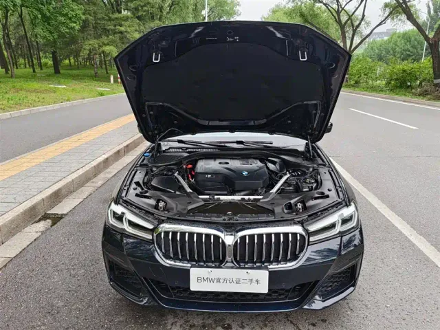 BMW 5 Series — Фото автомобиля 14