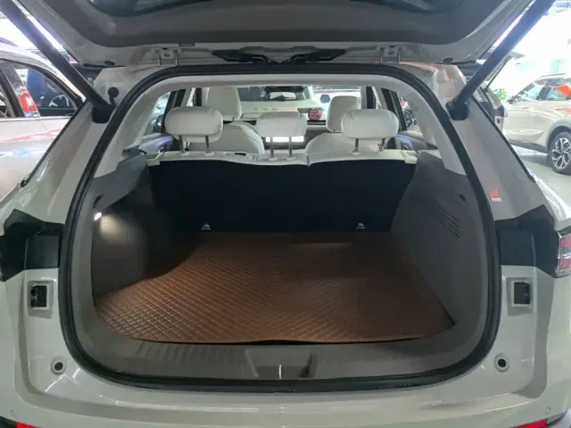 Haval Xiaolong MAX — Фото автомобиля 18