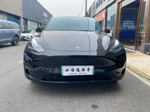 Tesla Model Y — Фото автомобиля 2