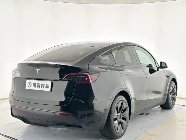 Tesla Model Y 2024 Rear-Wheel Drive Version — Фото автомобиля 10
