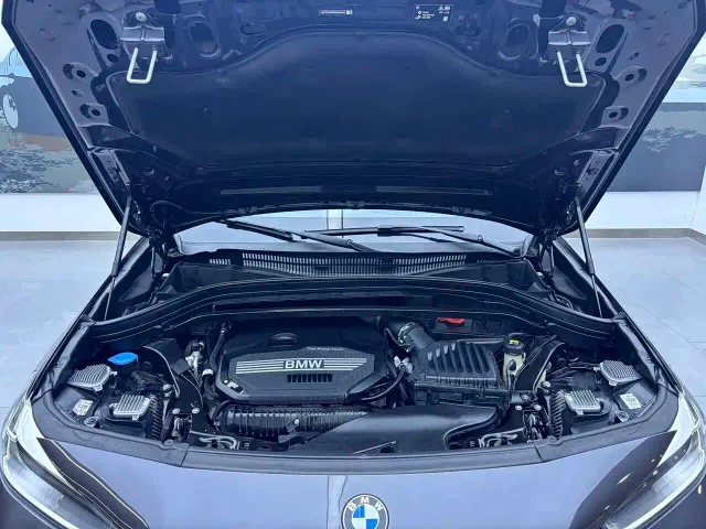 BMW X2 — Фото автомобиля 17