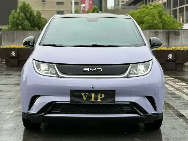 BYD Dolphin — Фото автомобиля 2