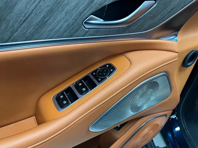 Wey Lanshan — Фото автомобиля 14