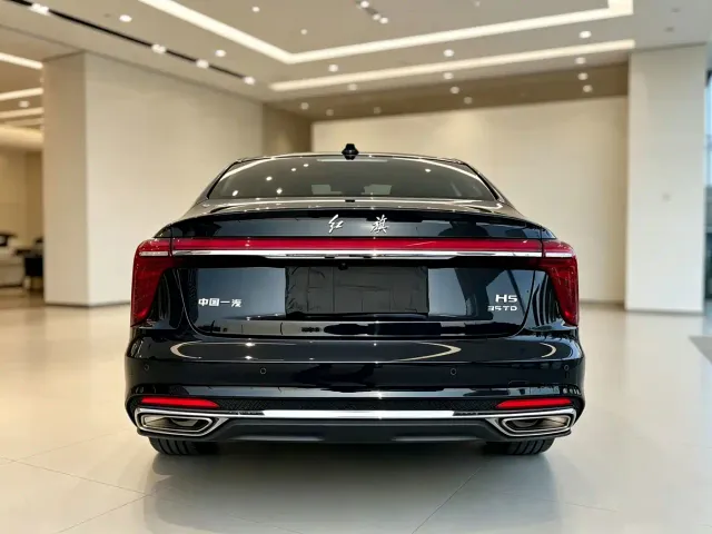 Hongqi Hongqi H5 2024 1.5T DCT Smart Connect Flag Rhythm Edition — Фото автомобиля 13