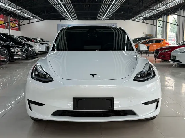 Tesla Model Y — Фото автомобиля 2