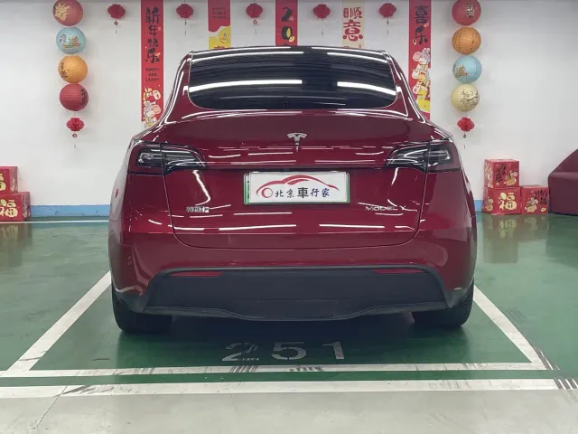 Tesla Model Y — Фото автомобиля 6