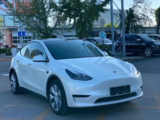 Tesla Model Y — Фото автомобиля 6